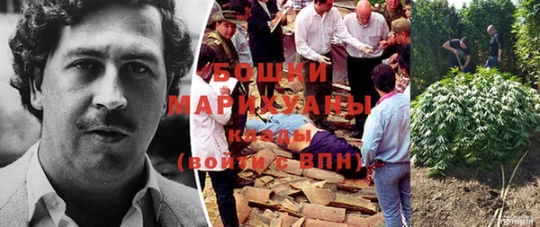 молекула духа Нефтекумск