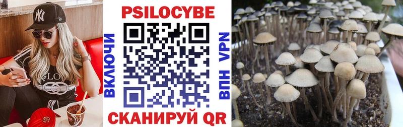 Галлюциногенные грибы мухоморы  Купить где  Новошахтинск 